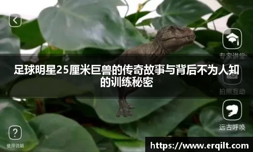 足球明星25厘米巨兽的传奇故事与背后不为人知的训练秘密
